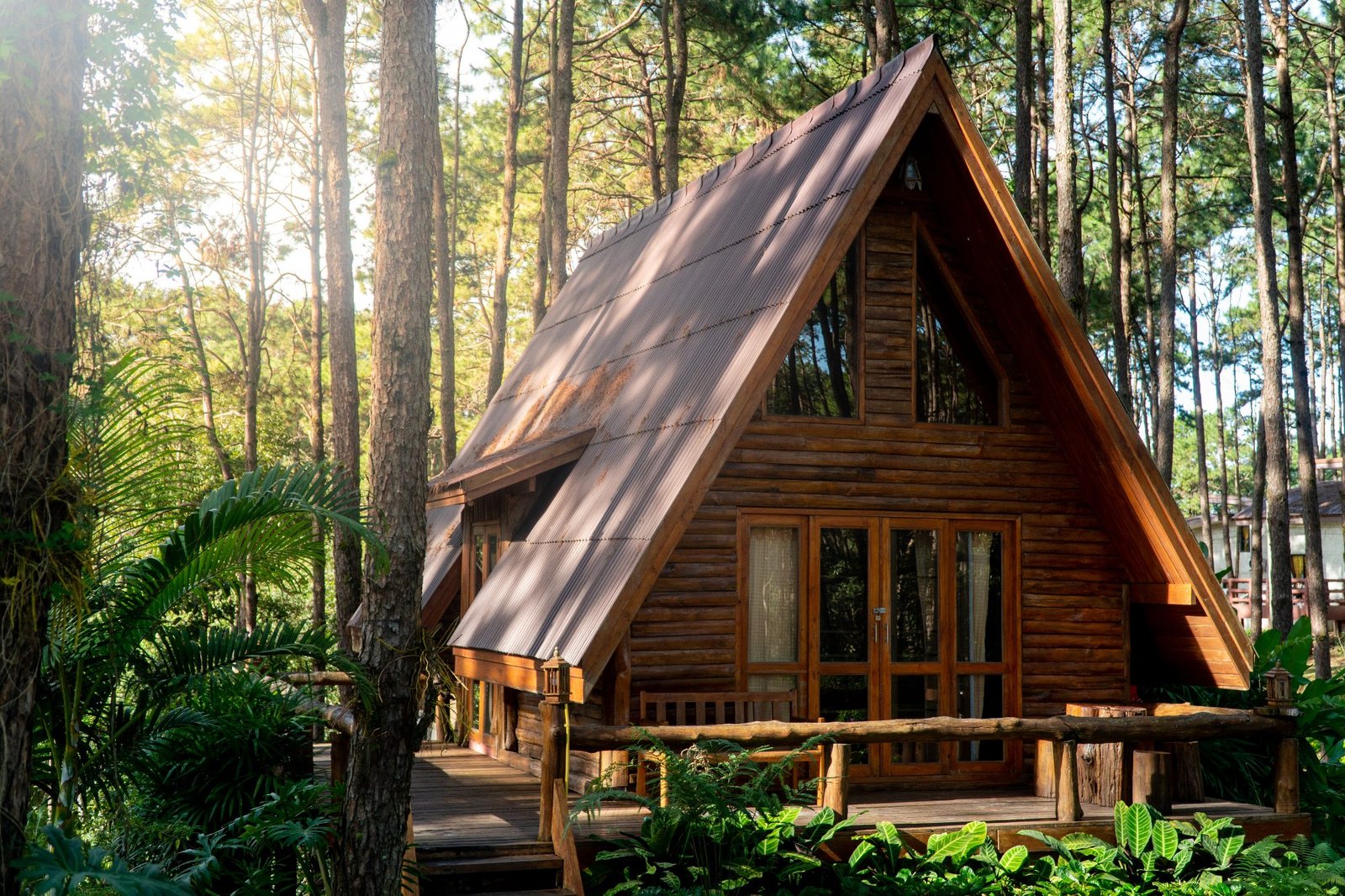 Chalet en bois au milieu des pins